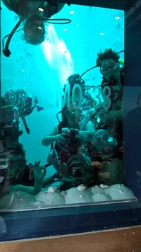 wp_20160320_13_54_45_pro.jpg